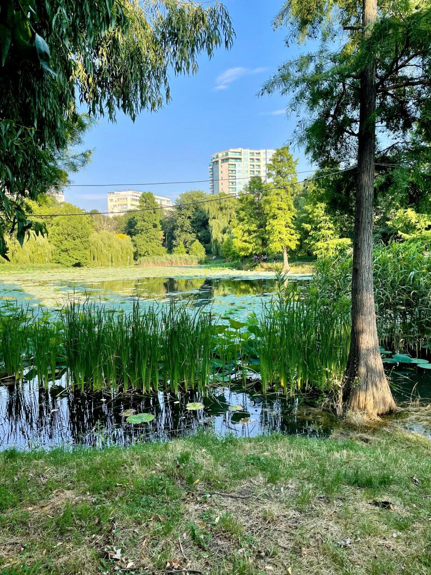Apartament No 902 Circului Park Tower *